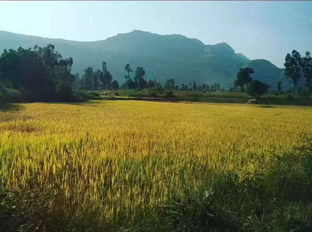 Photo of A rejuvenating trip 