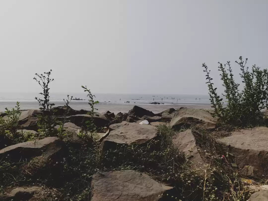 Photo of My childhood connect