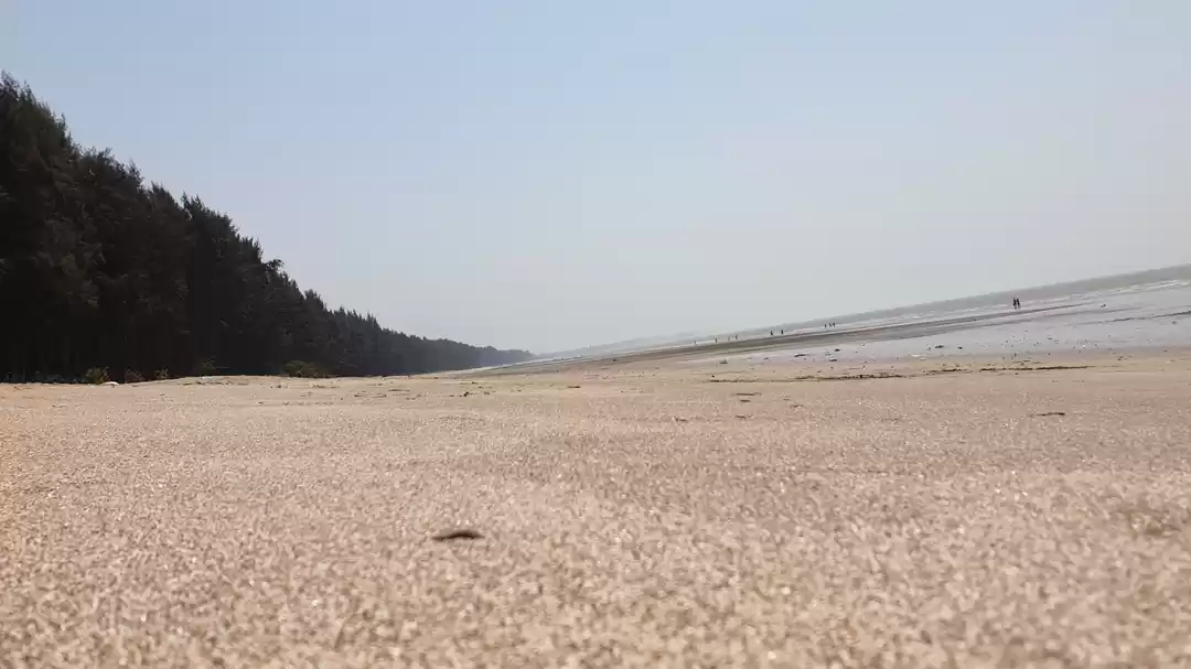 Photo of Unexplored perspecti