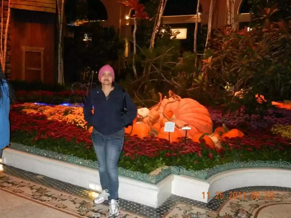 Photo of Hotels and Casinos o