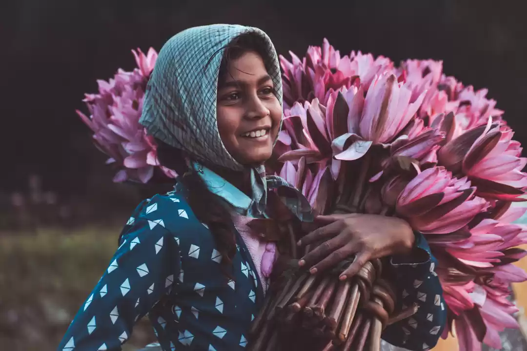 Photo of Gulawat Lotus Valley