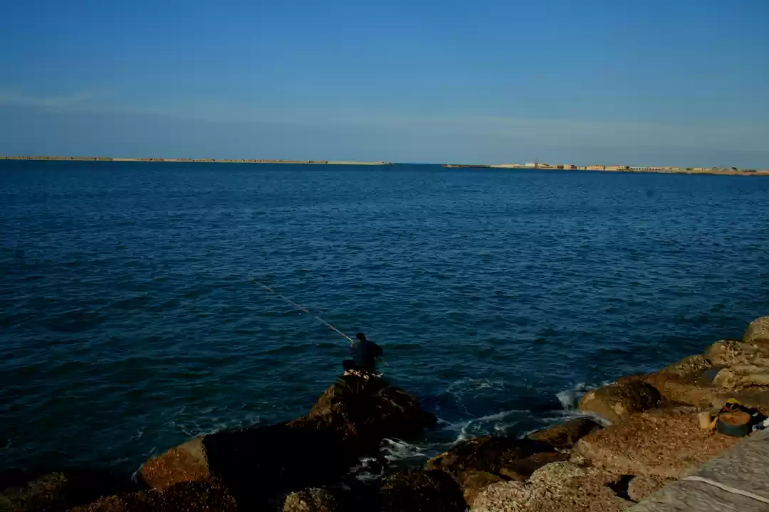 Photo of A trip down south-DI