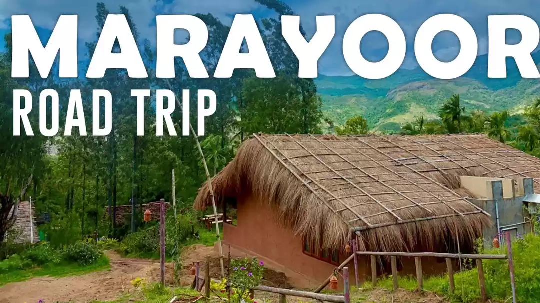 Photo of The road less travel