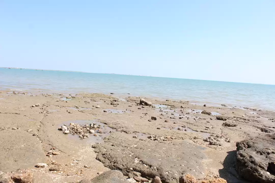 Photo of Dunny Point Tour