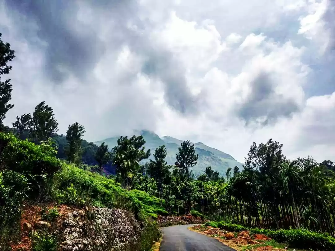 Photo of A Wanderer in Wonder