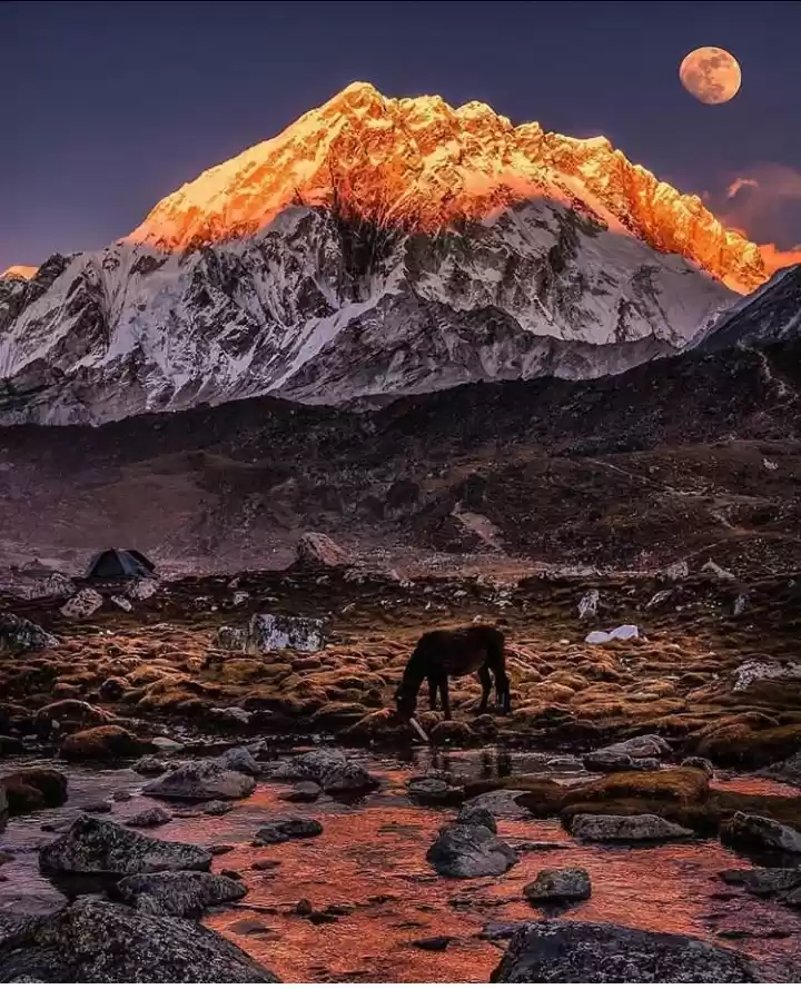 Photo of Some amazing moments