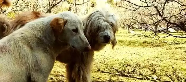 Photo of Chalal- unexplored d