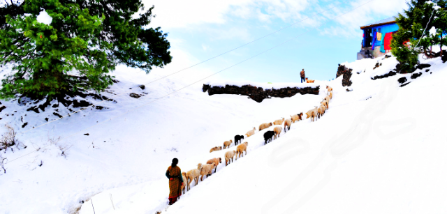 Photo of The Mystery Village