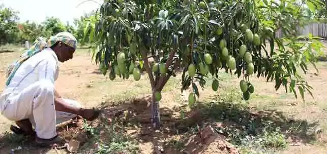 Photo of Want to live a priso