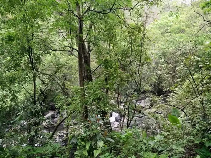 Photo of Best waterfall in Mu