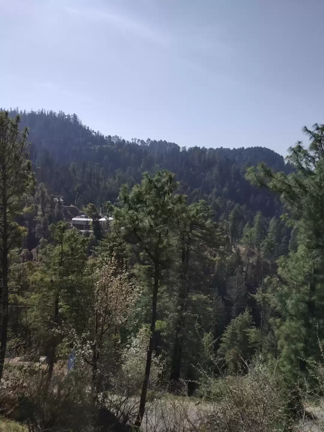 Photo of Karsog The Dev Bhumi