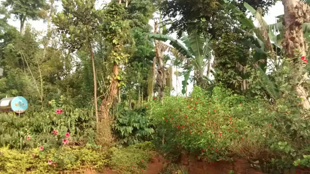 Photo of Ride to Coorg