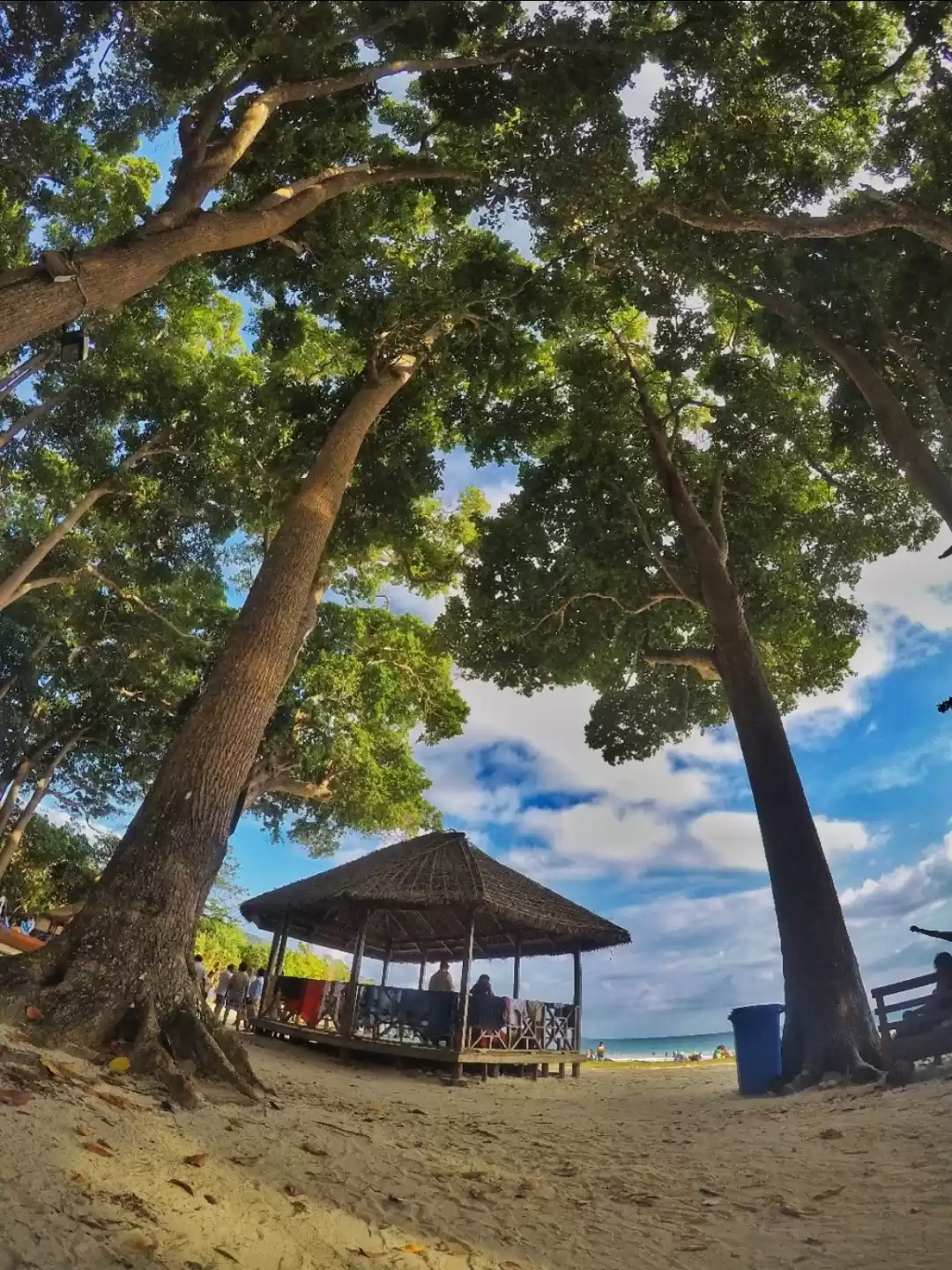 Photo of Havelock Island, Rad