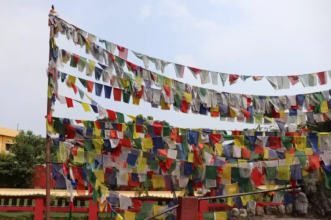 Photo of Why I Love Dehradun 