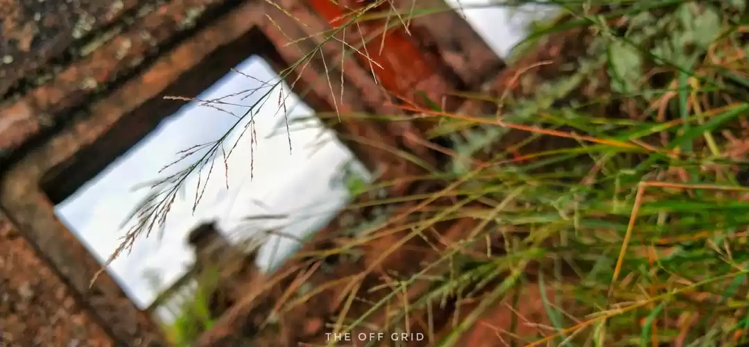 Photo of A Memorable Roadtrip