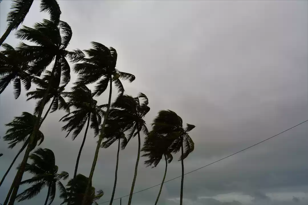 Photo of Goa - A Rainy Rendez