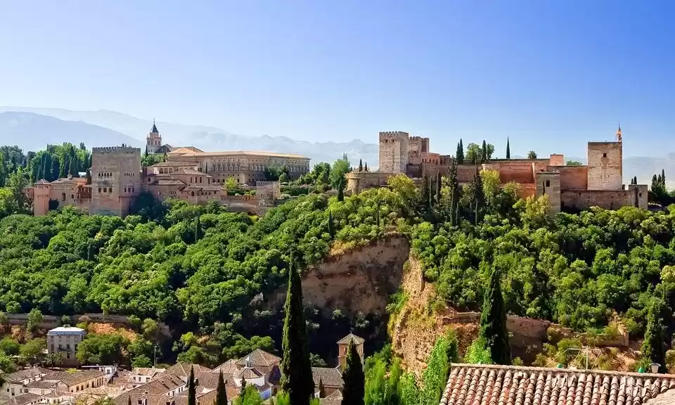 Photo of The call of Summer #