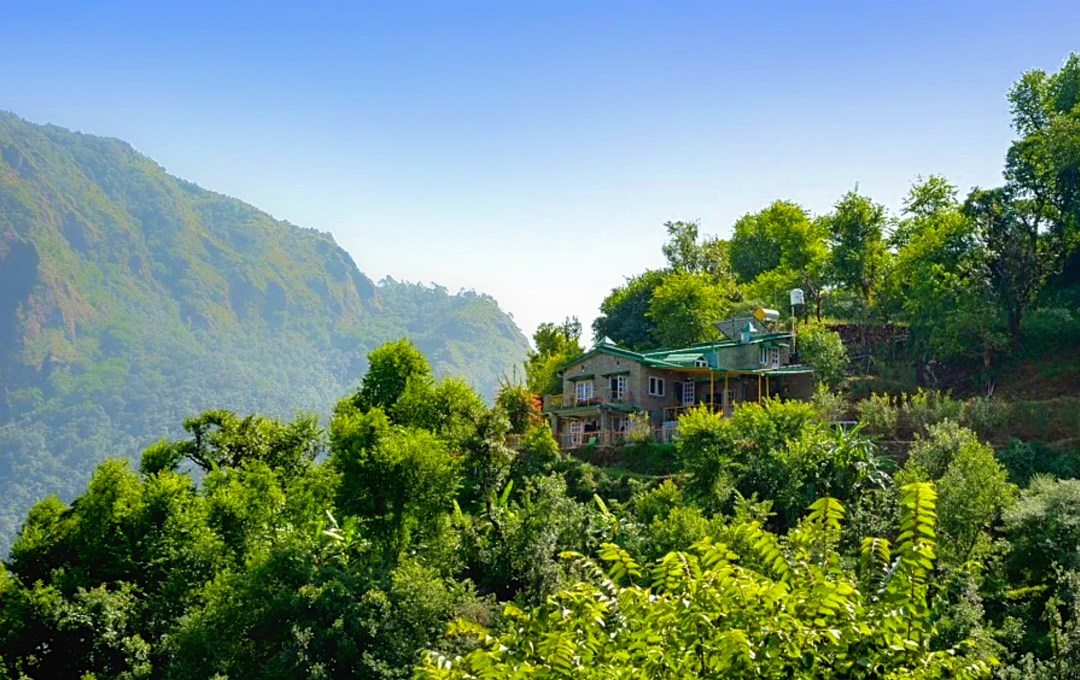 Photo of This Unique Farmstay