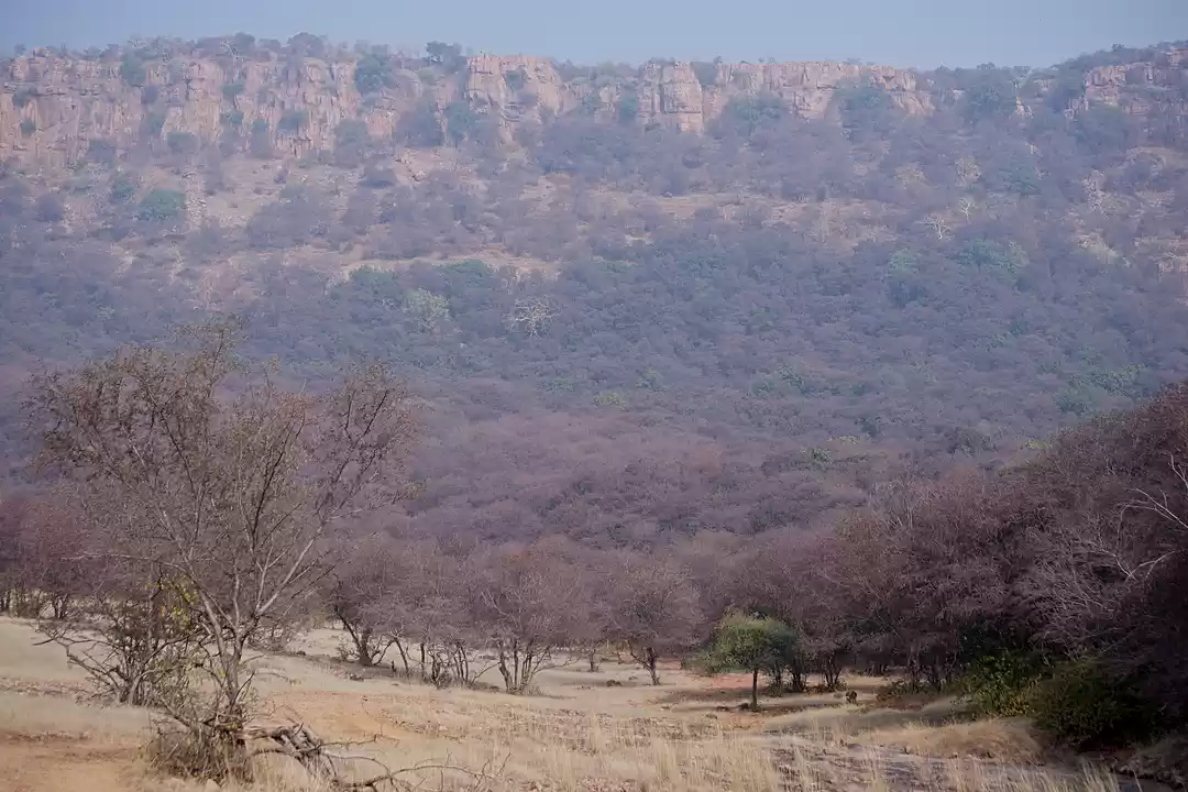 Photo of This Winter, Head to