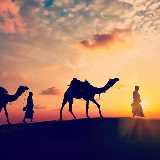Photo of Rajasthan_travelogue 