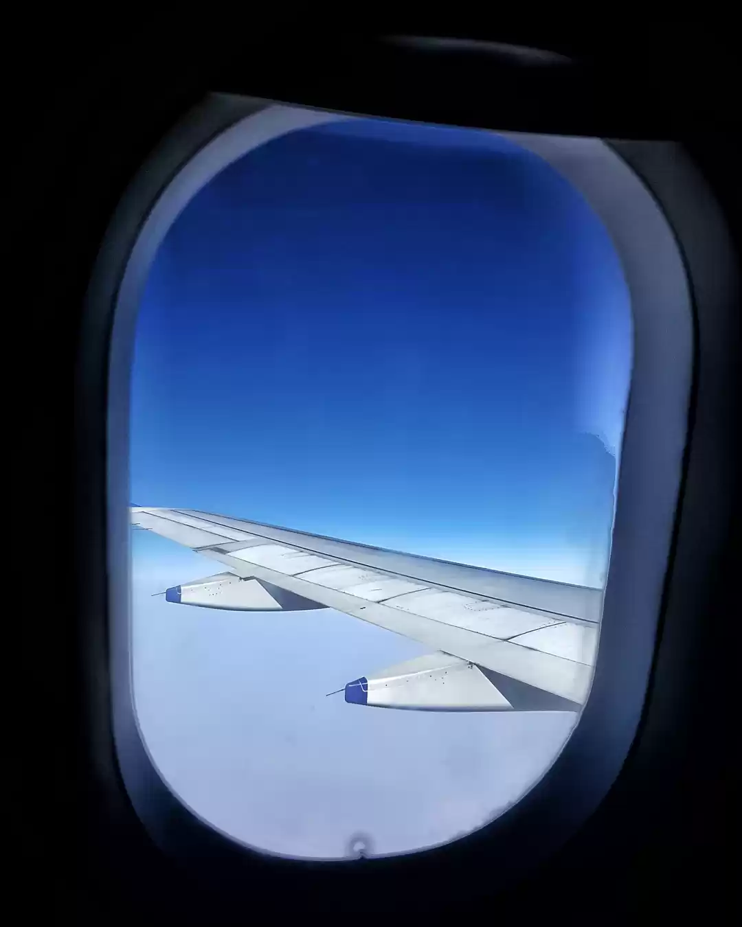 Photo of Trek or Treat-Himala