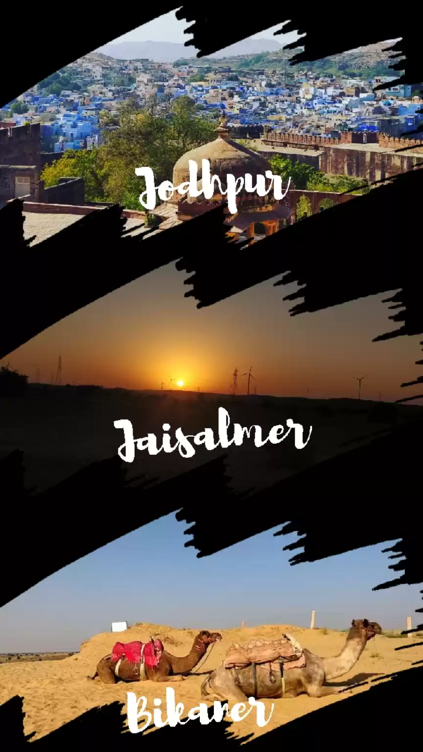 Photo of What not to expect f