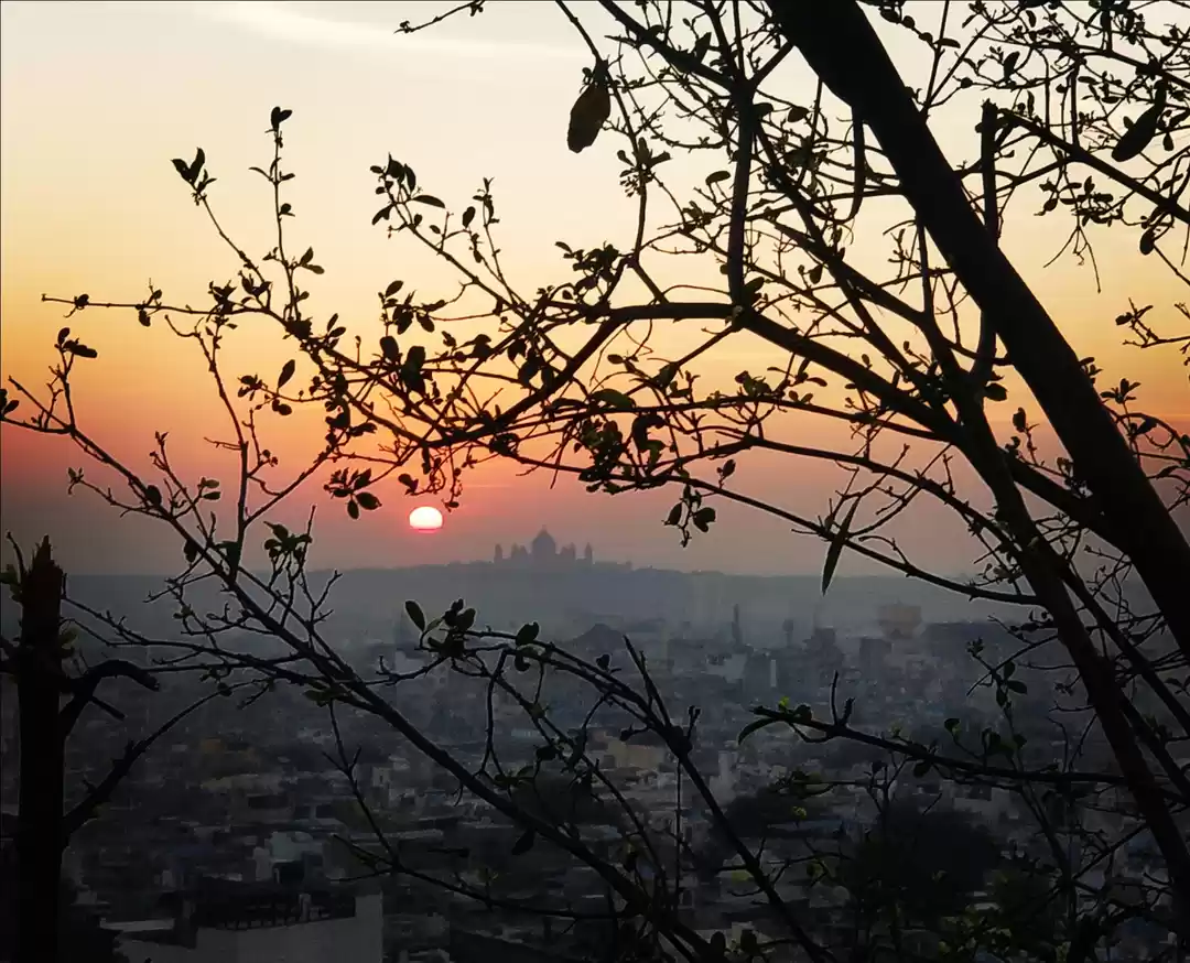 Photo of 2019- A year of East
