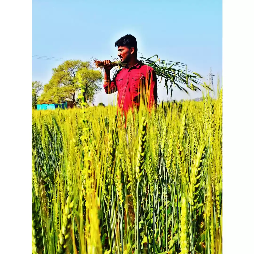 Photo of Mahesh Błækę