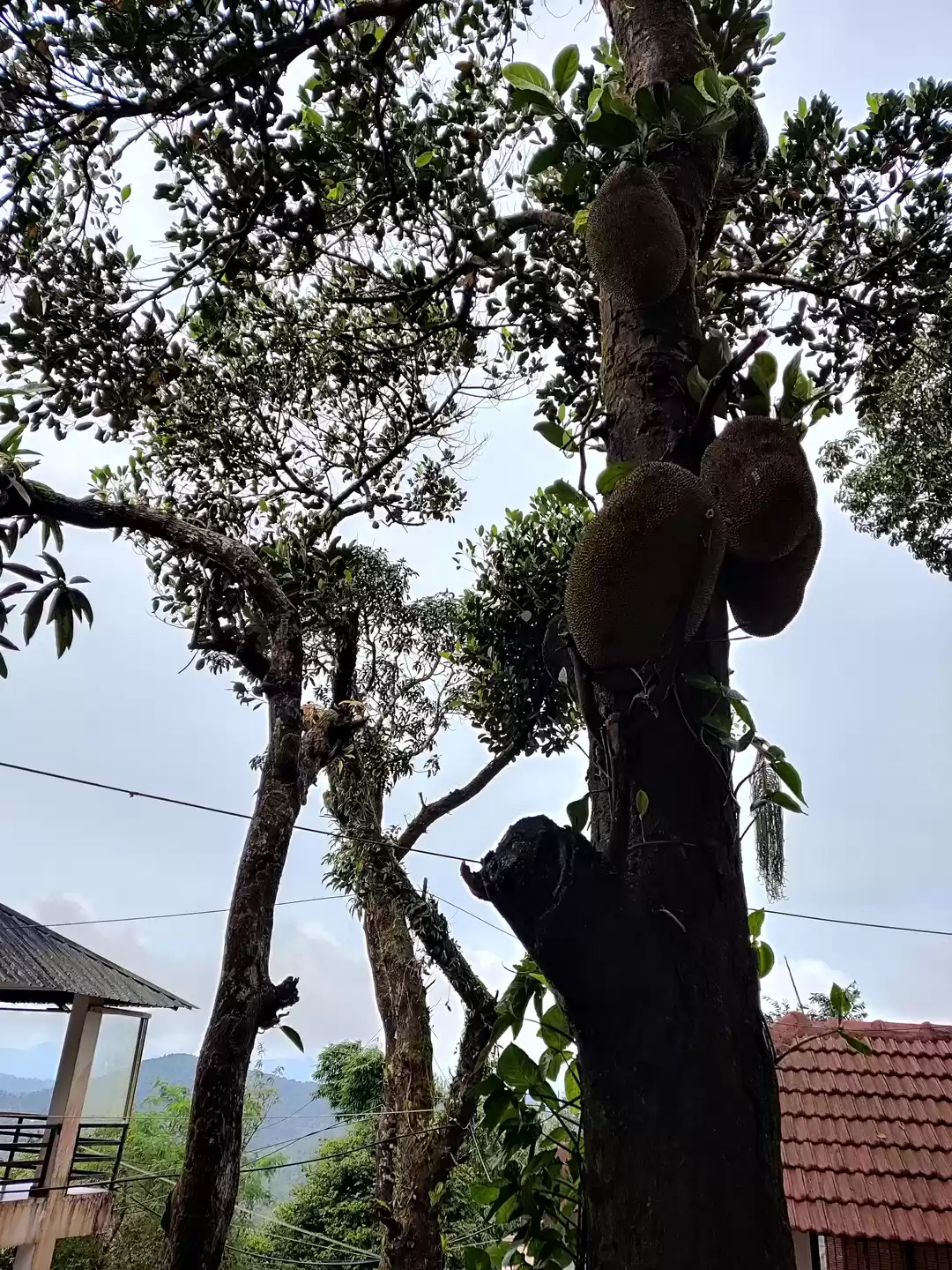 Photo of This is really happe