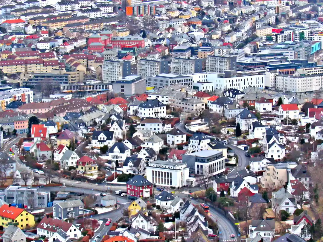 Photo of Why are People in No