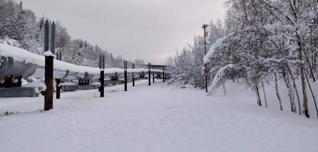 Exploring The Winter Wonderland Fairbanks Tripoto
