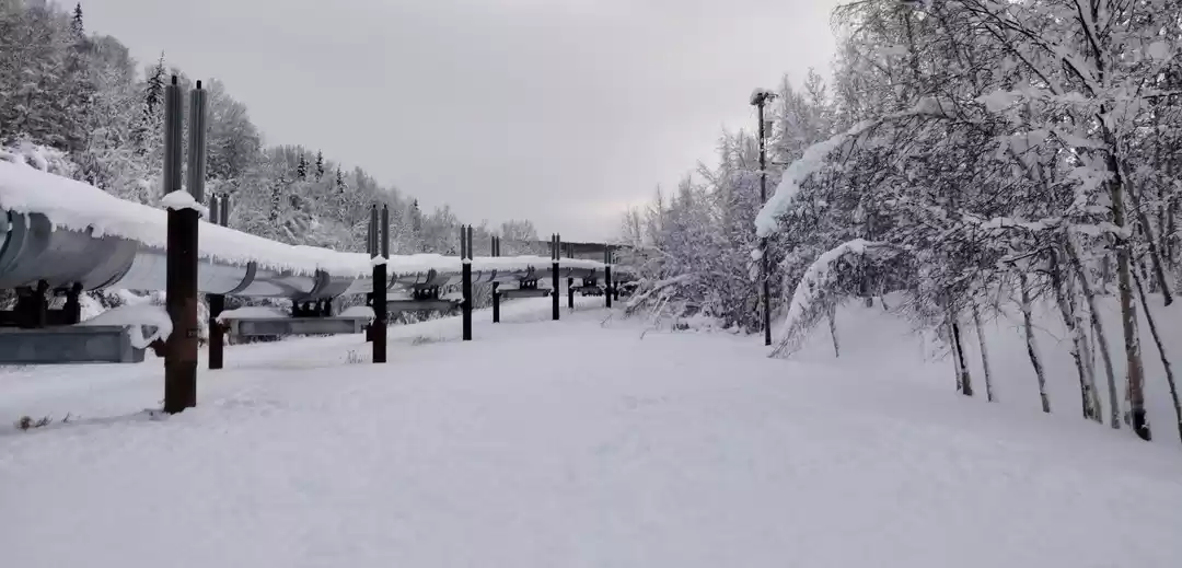 Photo of Exploring the Winter