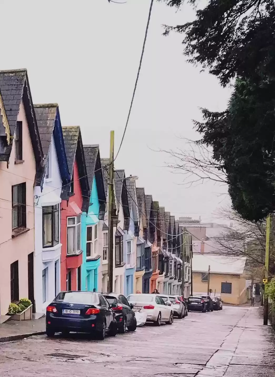 Photo of Off the beaten path