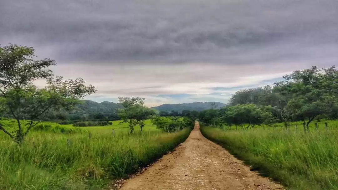 Photo of Living with a Mayan 