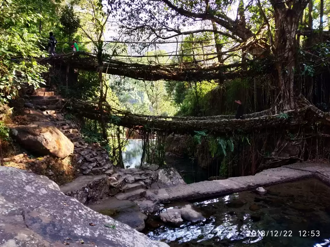 Photo of Where bridges are fo