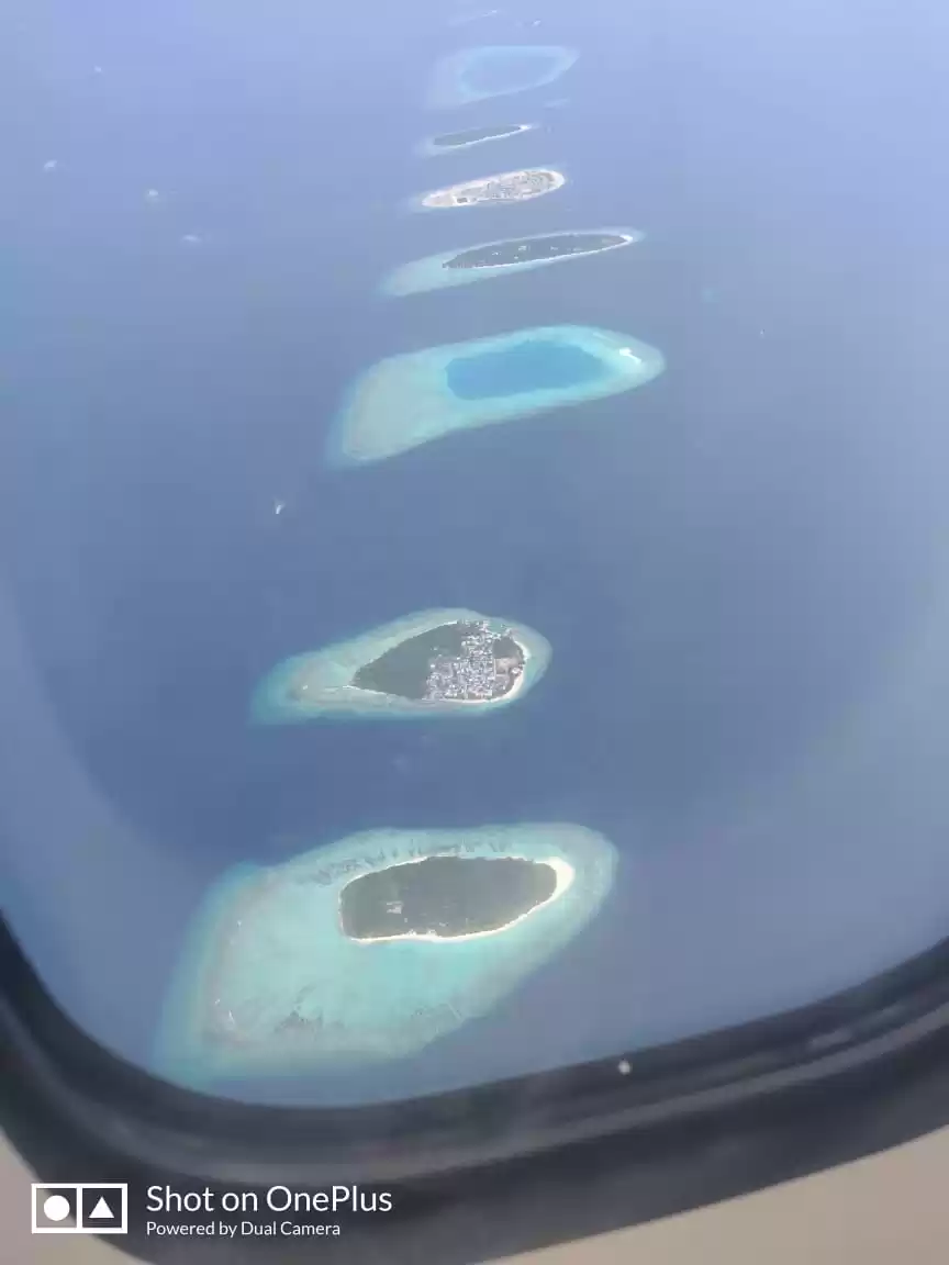 Photo of Paradise in Indian O