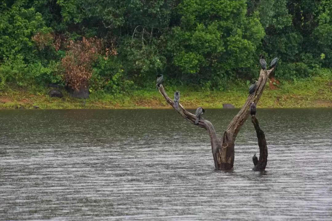 Photo of A Weekend is all you