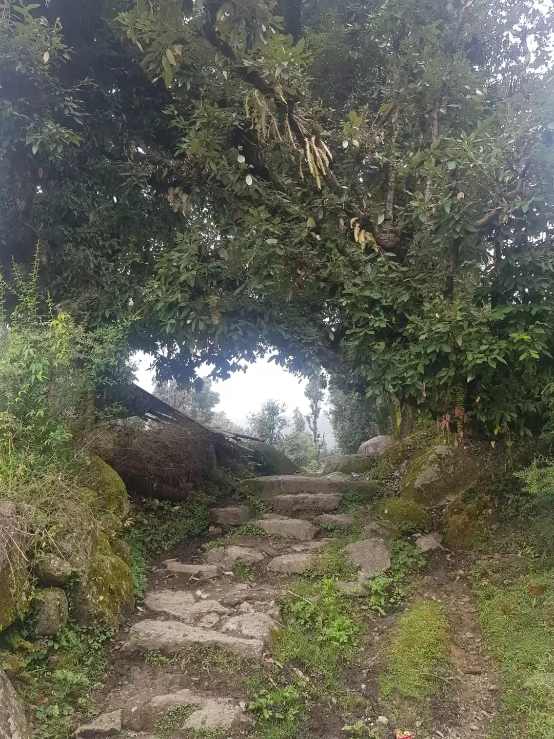 Photo of Kareri Trek