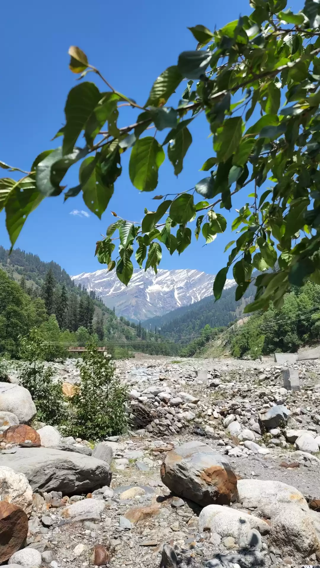 Photo of Patalsu peak trek🏕