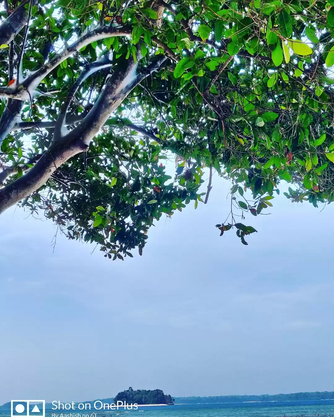 Photo of Andman & Nicobar isl