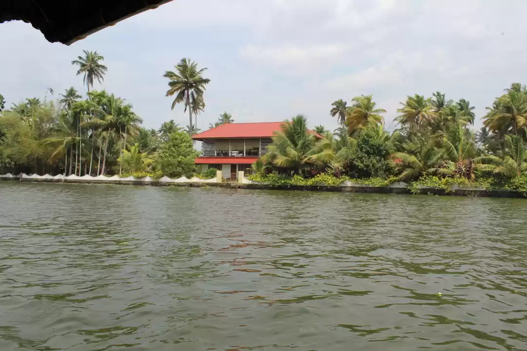 Photo of Road Trip to Wayanad