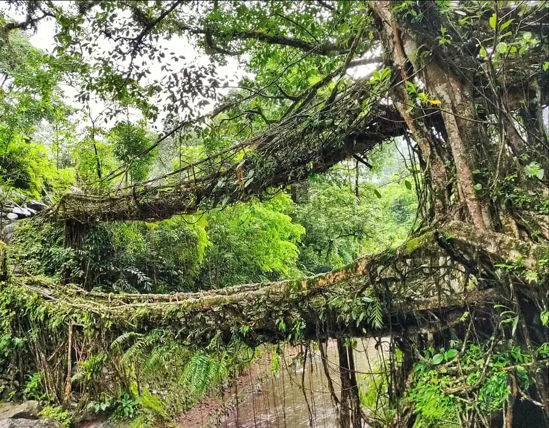 Photo of Meghalaya Bike Ride