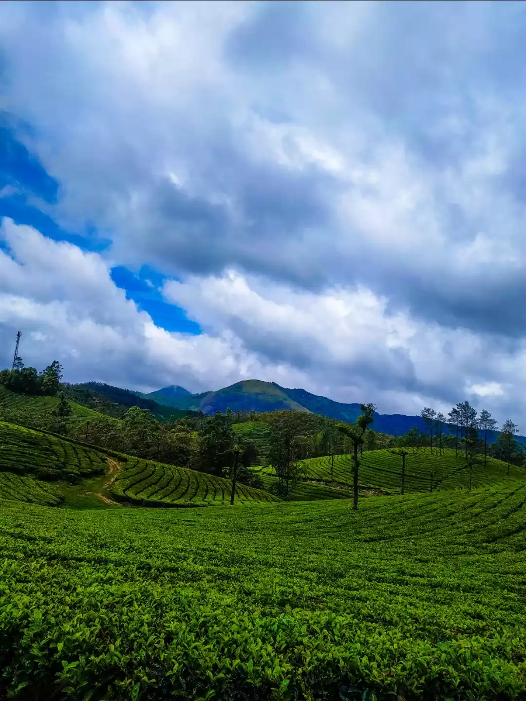 Photo of KERALA Best 5 Pictur