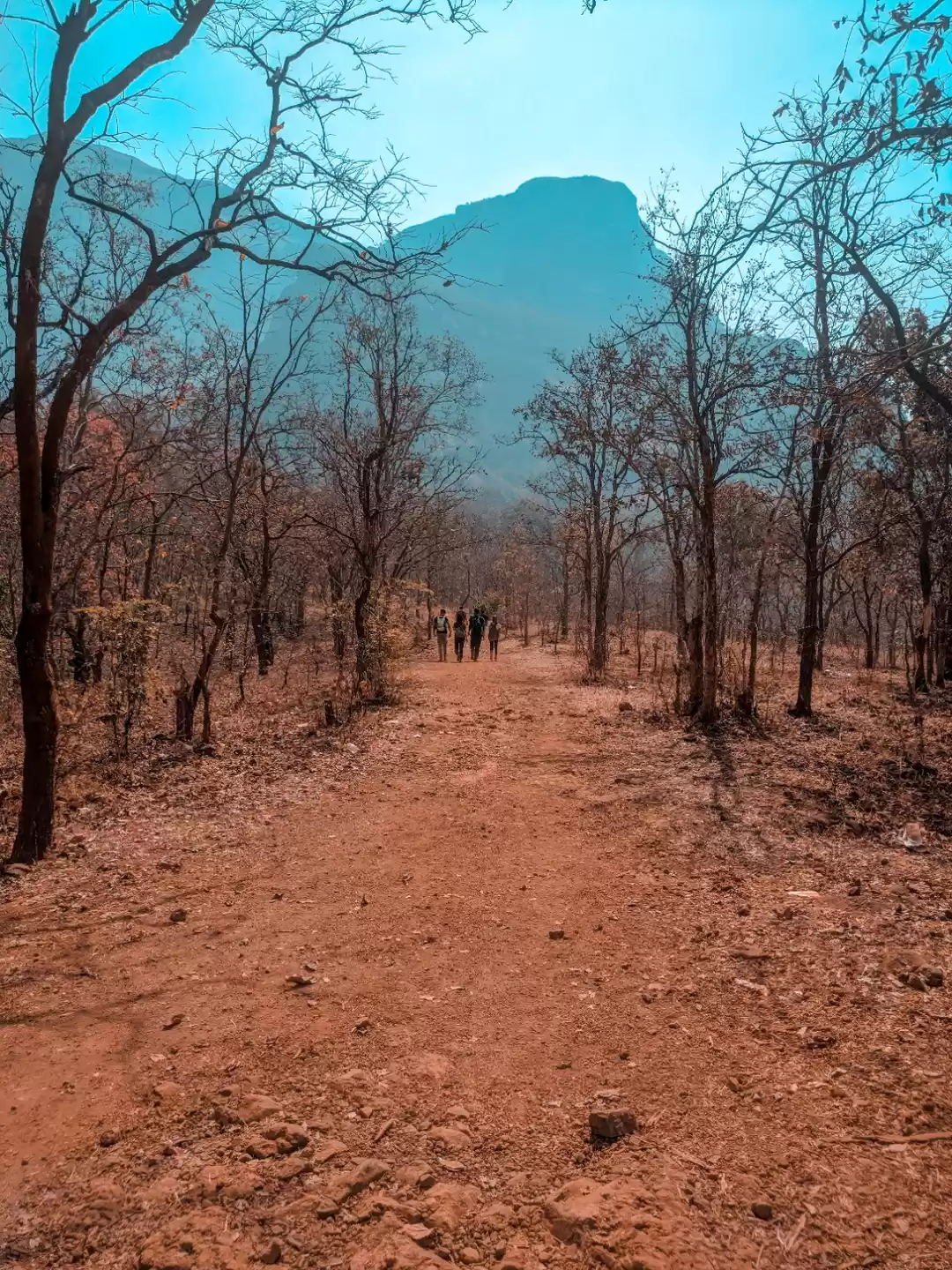 Photo of Ajoba Hills trek | O