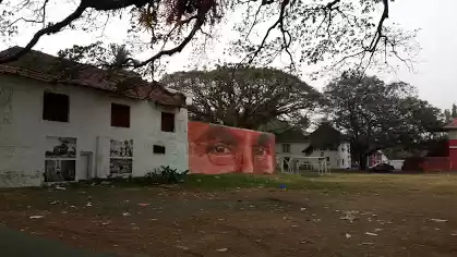 Photo of Solo Kerala Tour- T