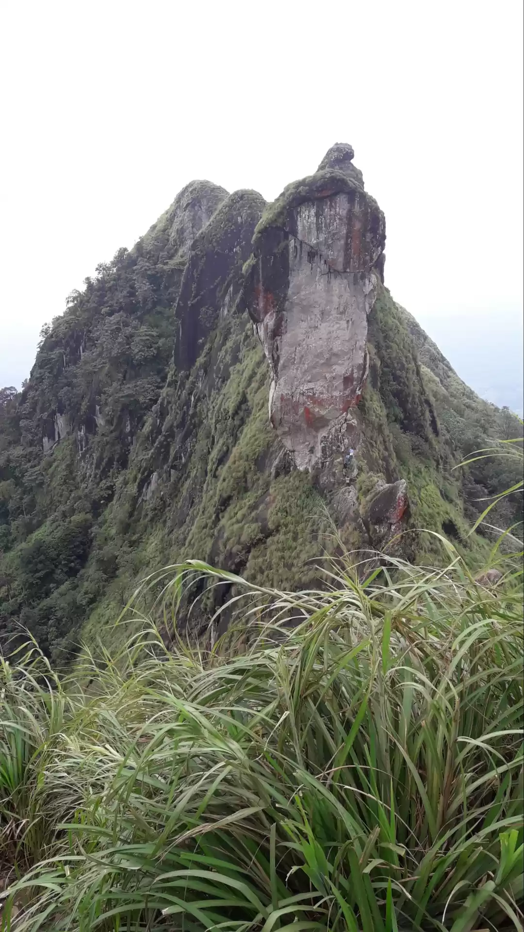 Photo of ILLIKKAL KALLU KOTTA