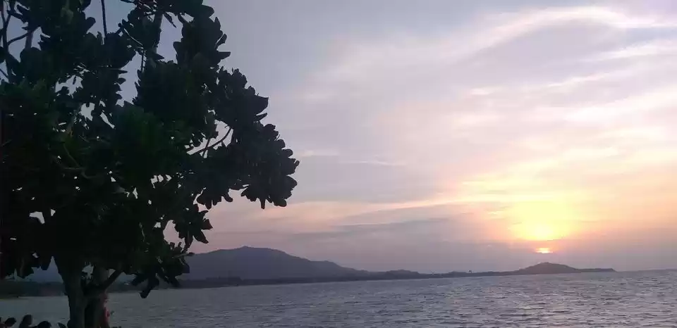 Photo of Thai Summer of 2019