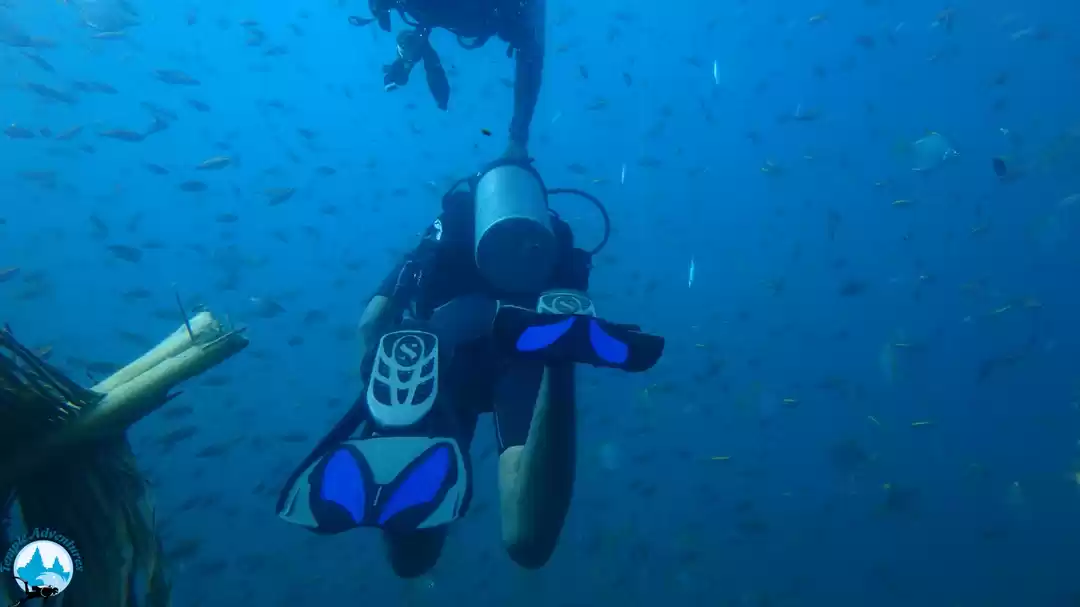 Photo of With love , PS ! (Po