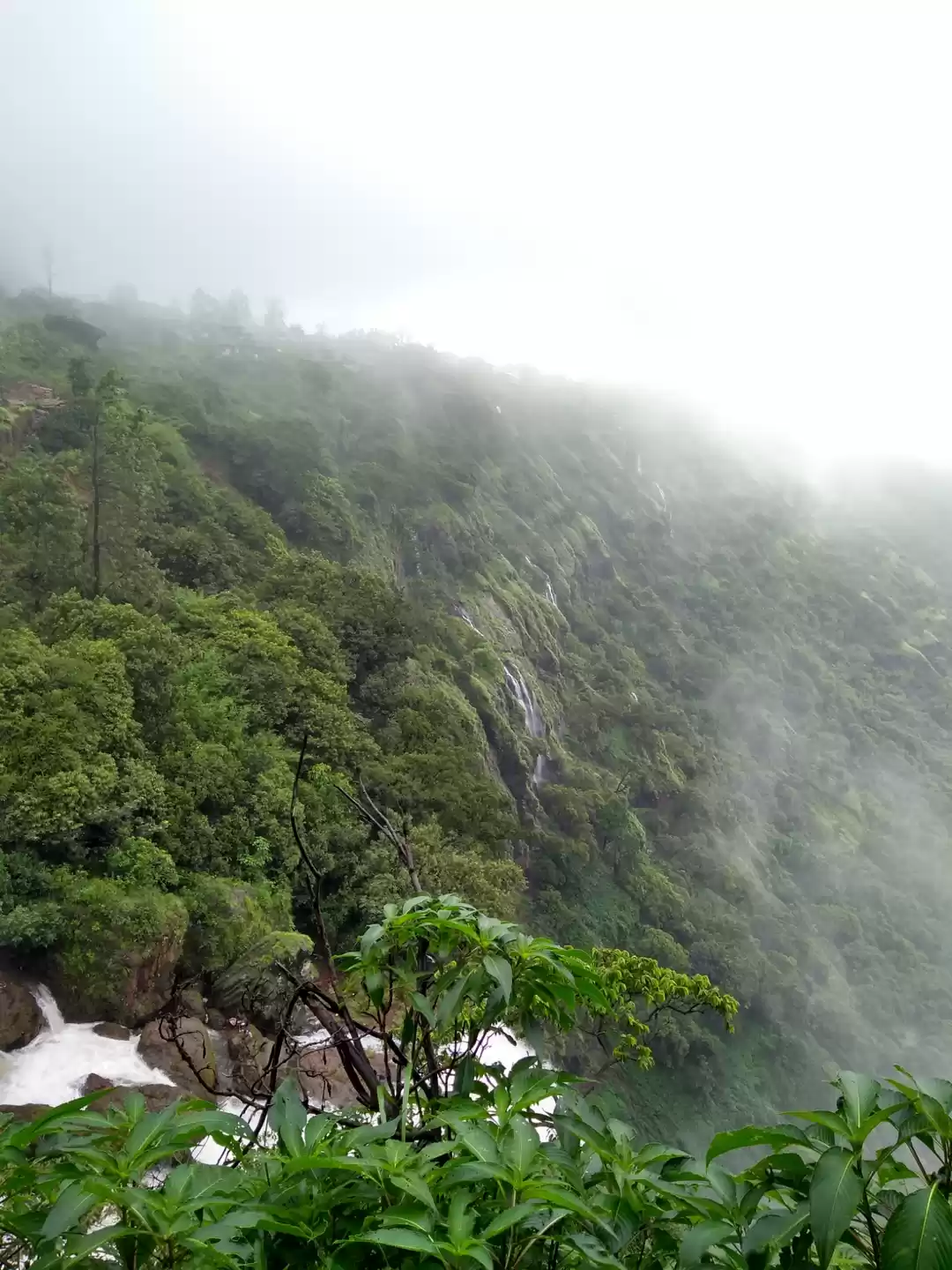 Photo of Kashmir of South Ind