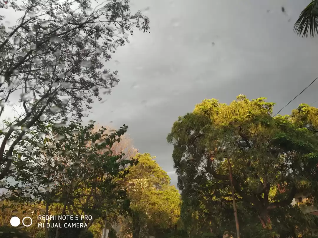 Photo of Most of us are touri